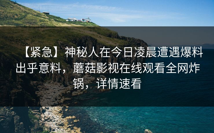 【紧急】神秘人在今日凌晨遭遇爆料出乎意料，蘑菇影视在线观看全网炸锅，详情速看