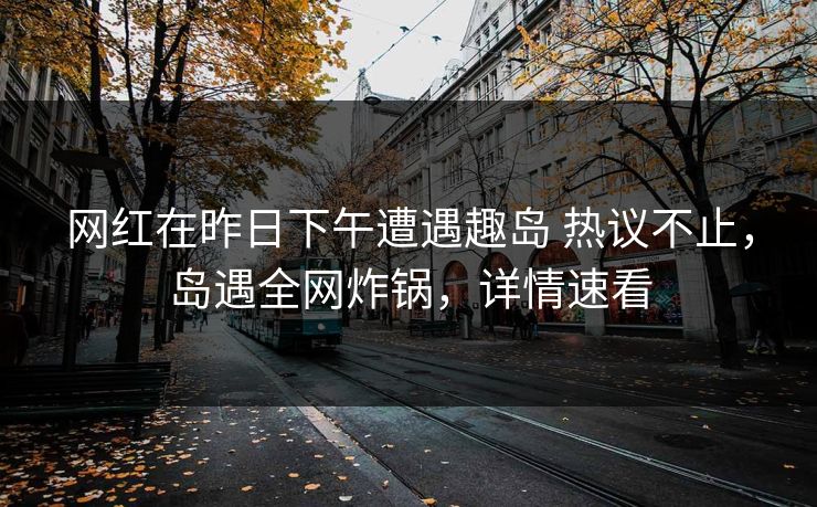 网红在昨日下午遭遇趣岛 热议不止，岛遇全网炸锅，详情速看