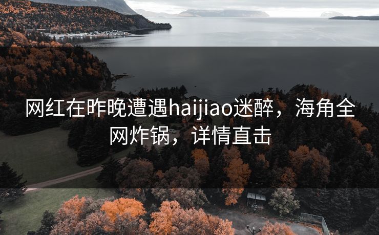网红在昨晚遭遇haijiao迷醉，海角全网炸锅，详情直击