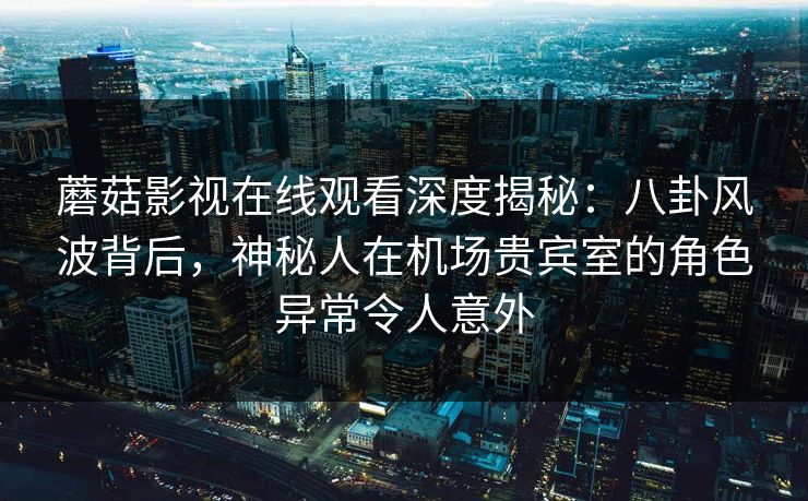 蘑菇影视在线观看深度揭秘：八卦风波背后，神秘人在机场贵宾室的角色异常令人意外
